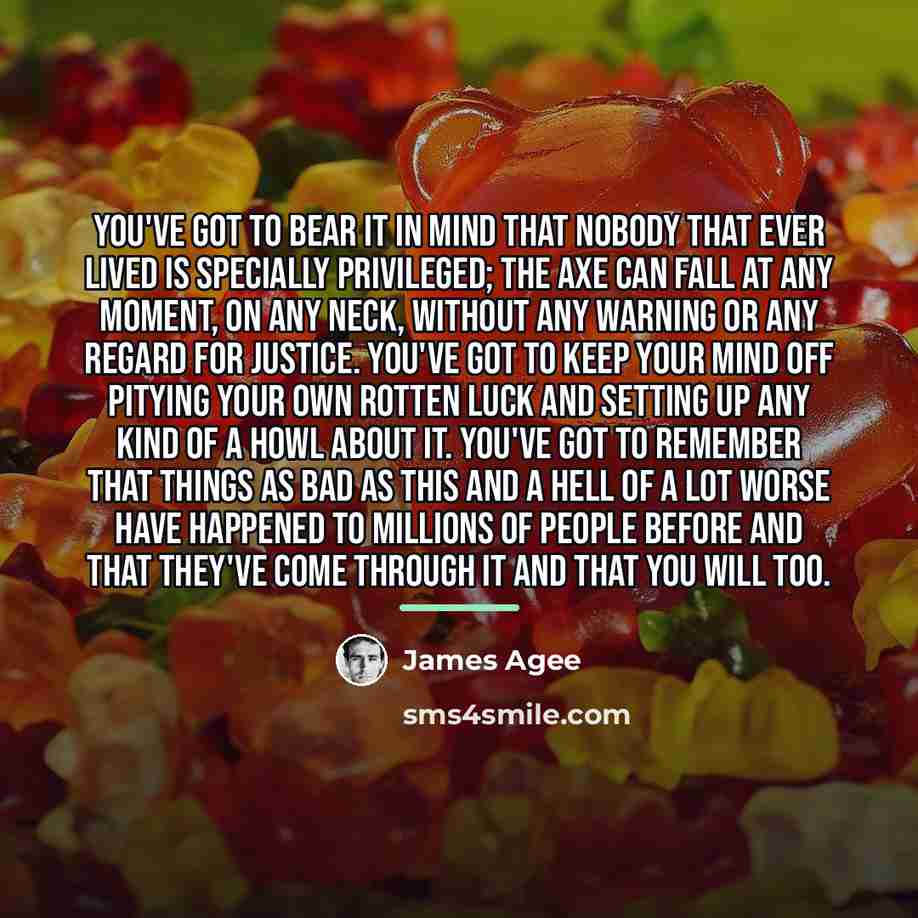 “You've got to bear it in mind that nobody that…” quote by James Agee
