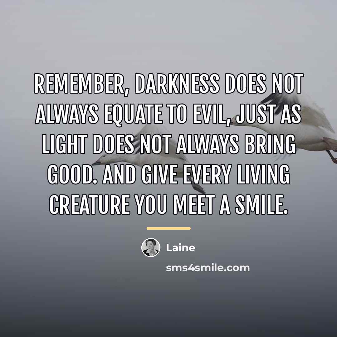 “Remember, darkness does not always equate to evil, just as…” quote by Laine