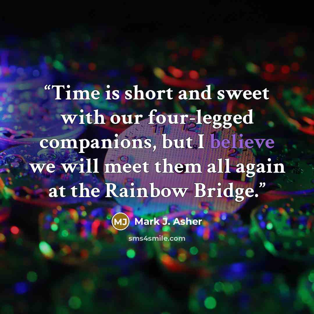 “Time is short and sweet with our four-legged companions, but I believe we will meet them all again at the Rainbow Bridge.” quote by Mark J. Asher