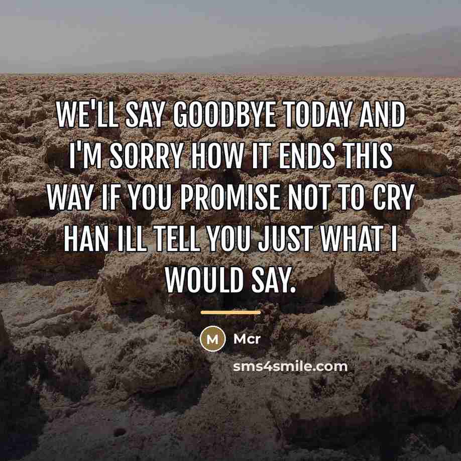 “We'll say goodbye today and I'm sorry how it ends…” quote by Mcr