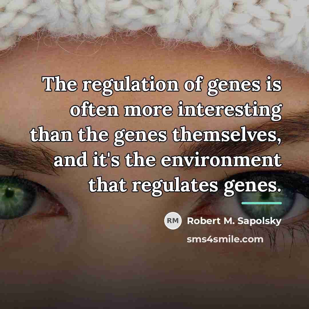 “The regulation of genes is often more interesting than the…” quote by Robert M. Sapolsky
