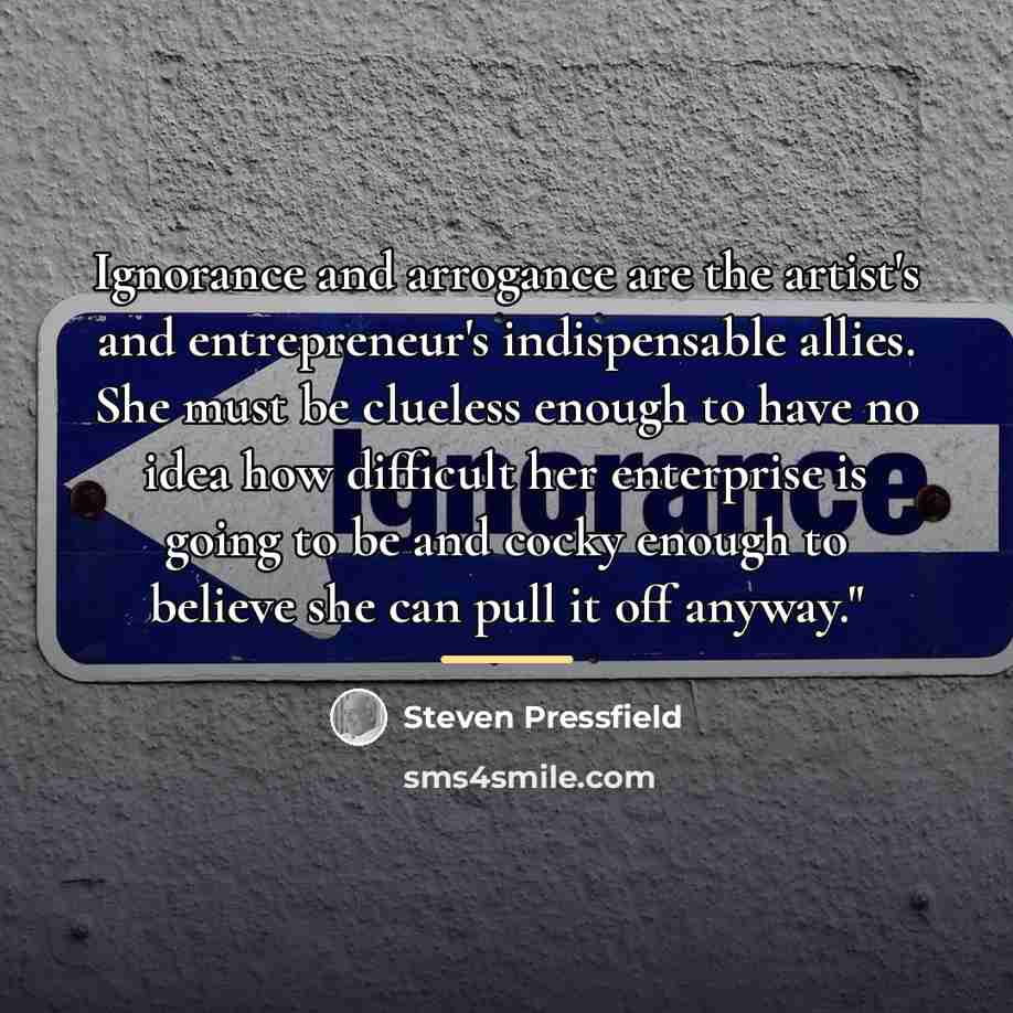 “Ignorance and arrogance are the artist's and entrepreneur's indispensable allies.…” quote by Steven Pressfield