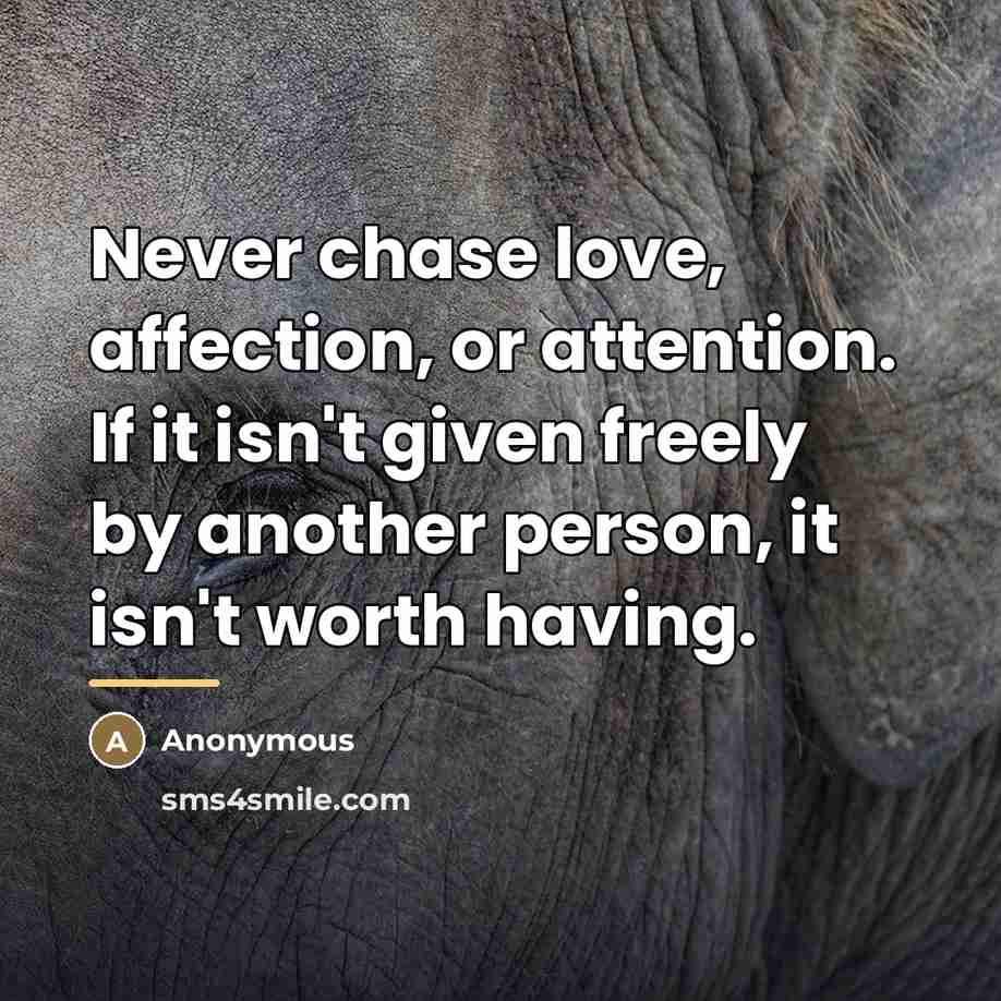 “Never chase love, affection, or attention. If it isn't given…” quote by Anonymous