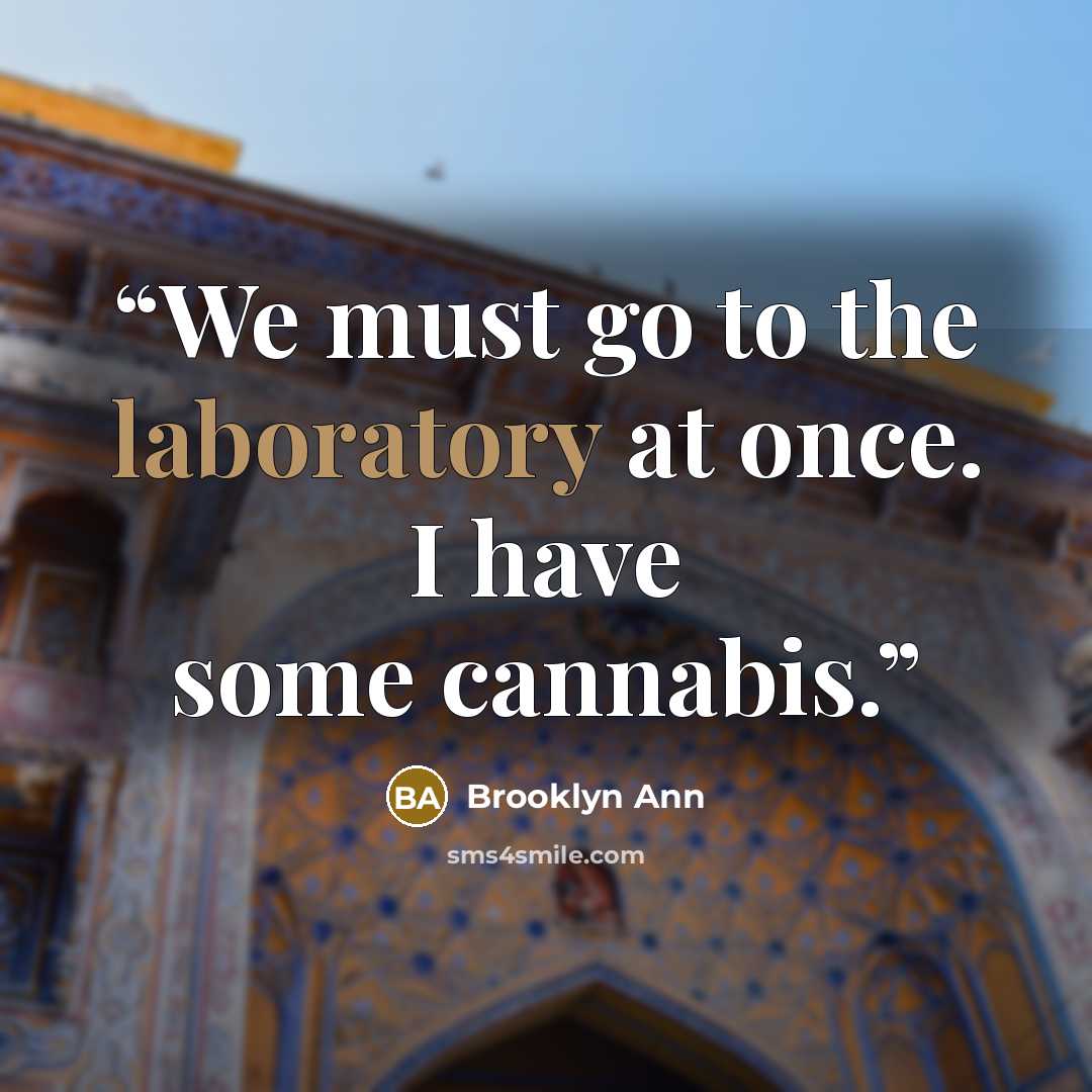 “We must go to the laboratory at once. I have some cannabis.” quote by Brooklyn Ann
