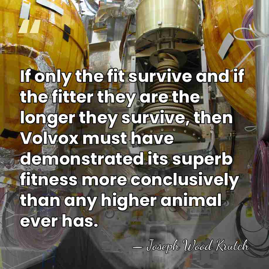 If only the fit survive and if the fitter they are the&hellip; - Joseph Wood Krutch