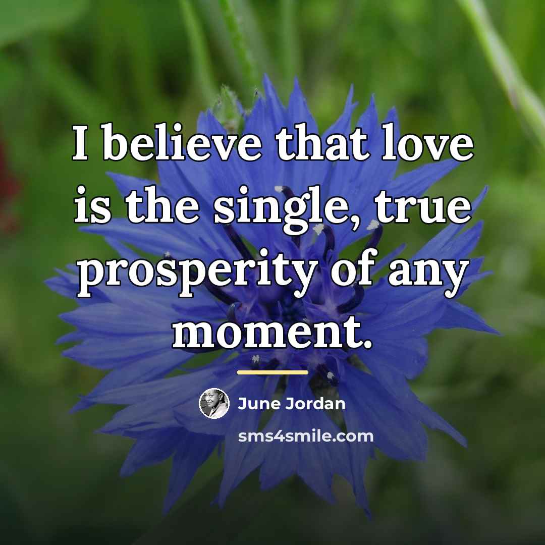“I believe that love is the single, true prosperity of…” quote by June Jordan