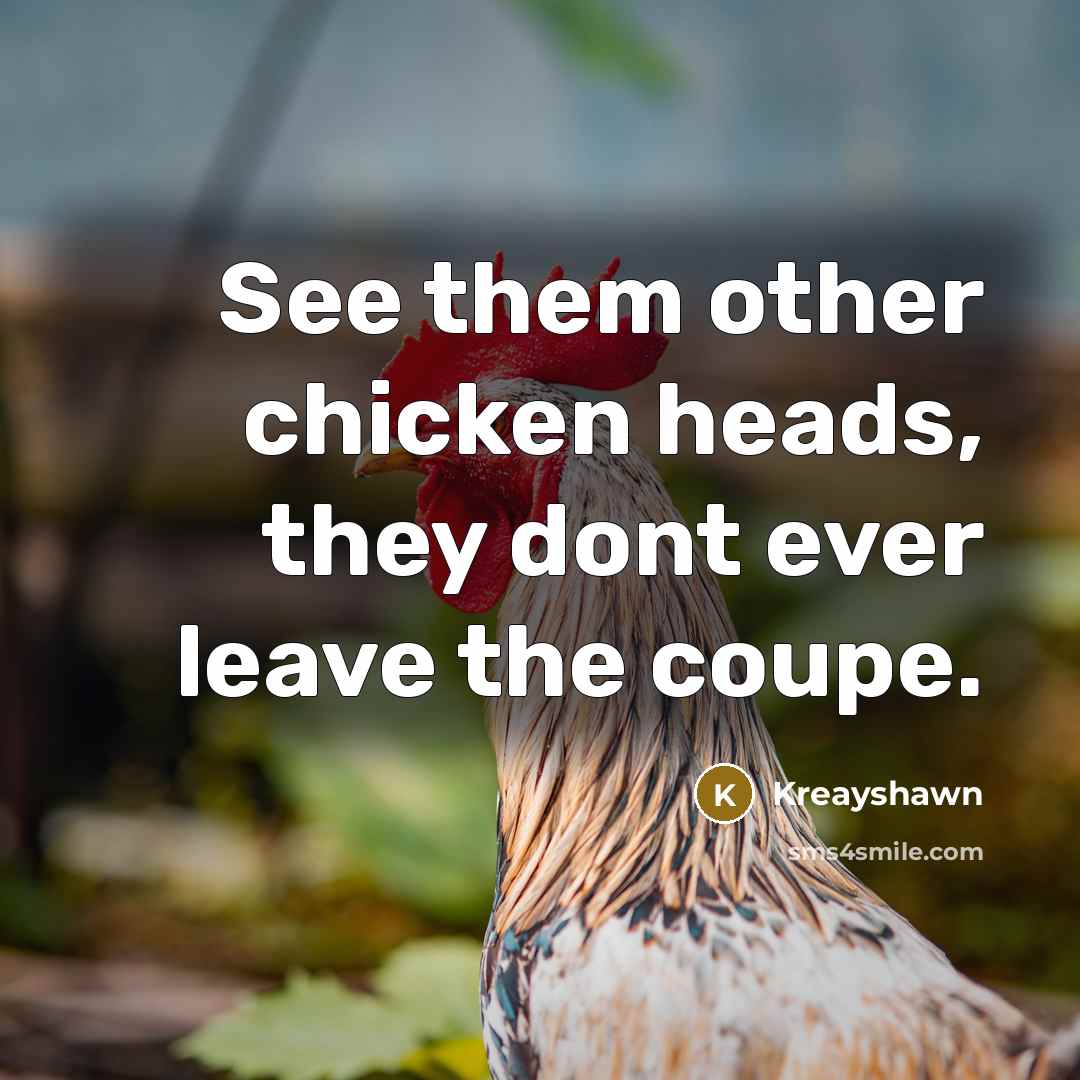 “See them other chicken heads, they dont ever leave the…” quote by Kreayshawn