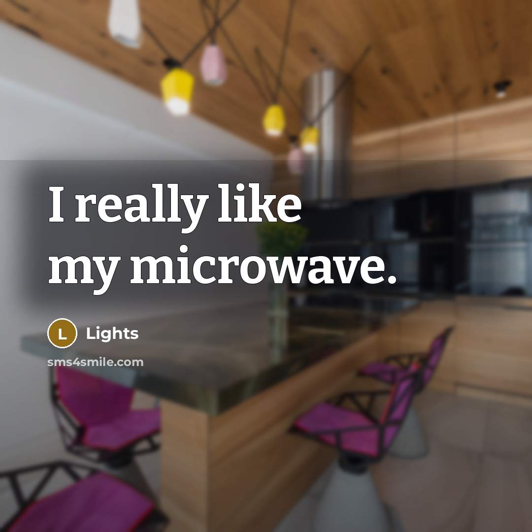 “I really like my microwave.” quote by Lights