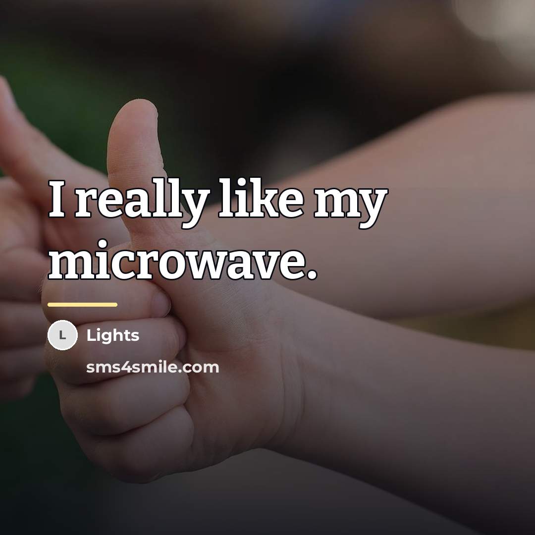 “I really like my microwave.…” quote by Lights