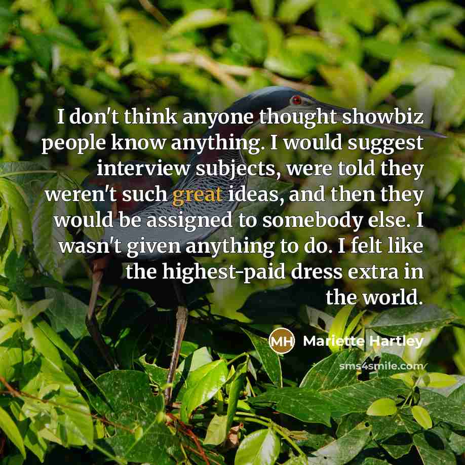 “I don't think anyone thought showbiz people know anything. I…” quote by Mariette Hartley