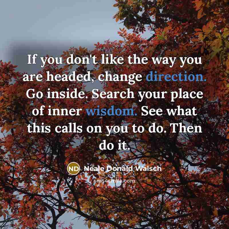 “If you don't like the way you are headed, change direction. Go inside. Search your place of inner wisdom. See what this calls on you to do. Then do it.” quote by Neale Donald Walsch
