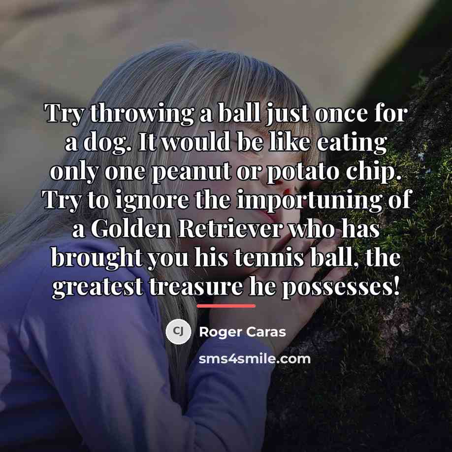 “Try throwing a ball just once for a dog. It…” quote by Roger Caras