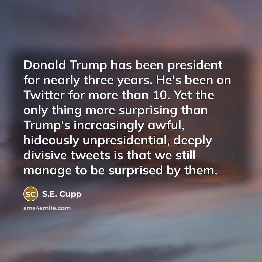 “Donald Trump has been president for nearly three years. He's…” quote by S.E. Cupp
