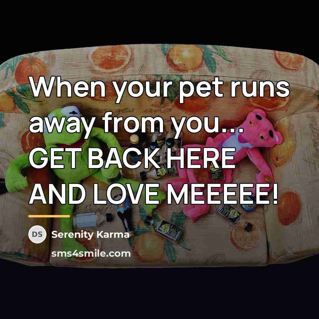 “When your pet runs away from you... GET BACK HERE…” quote by Serenity Karma