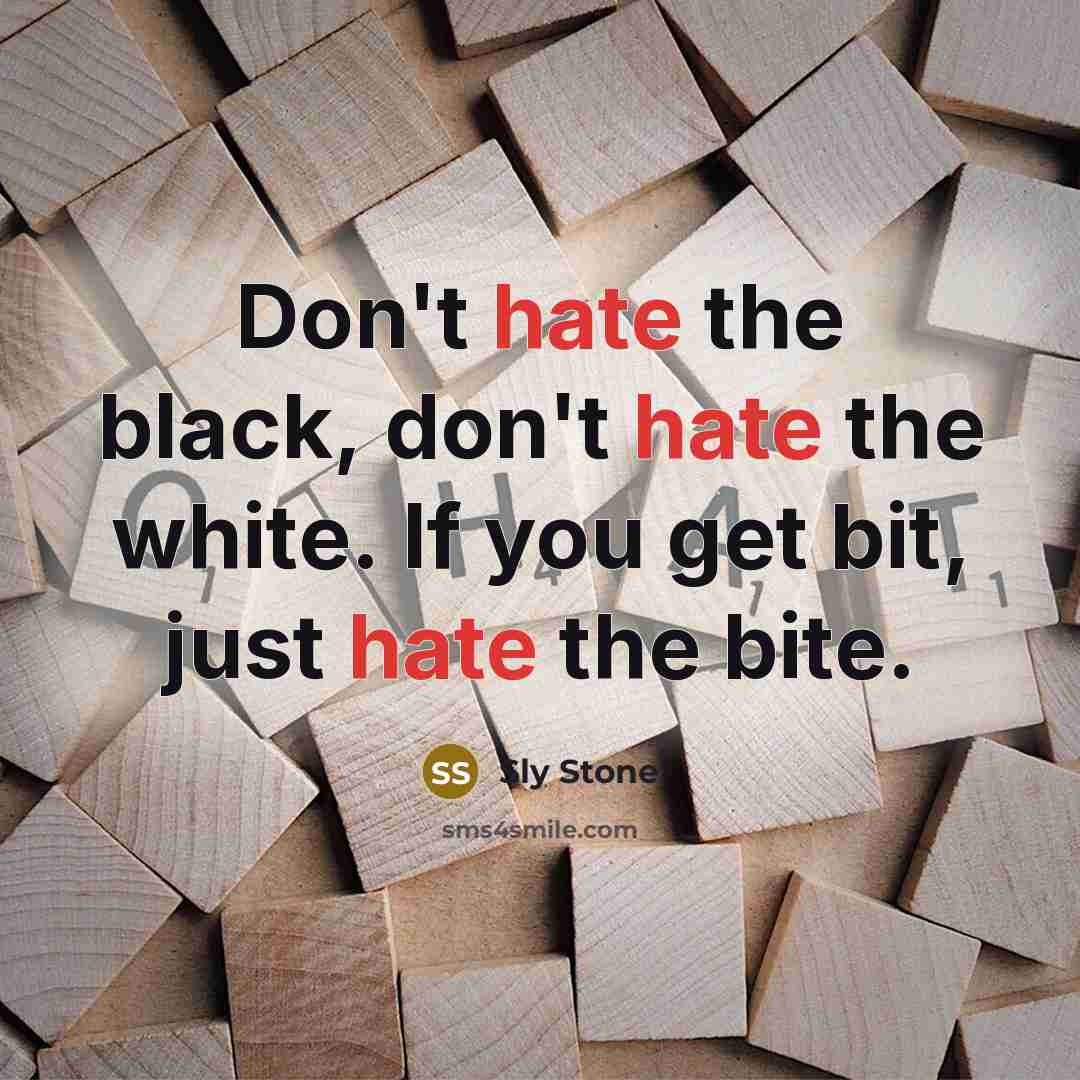 “Don't hate the black, don't hate the white. If you get bit, just hate the bite.” quote by Sly Stone