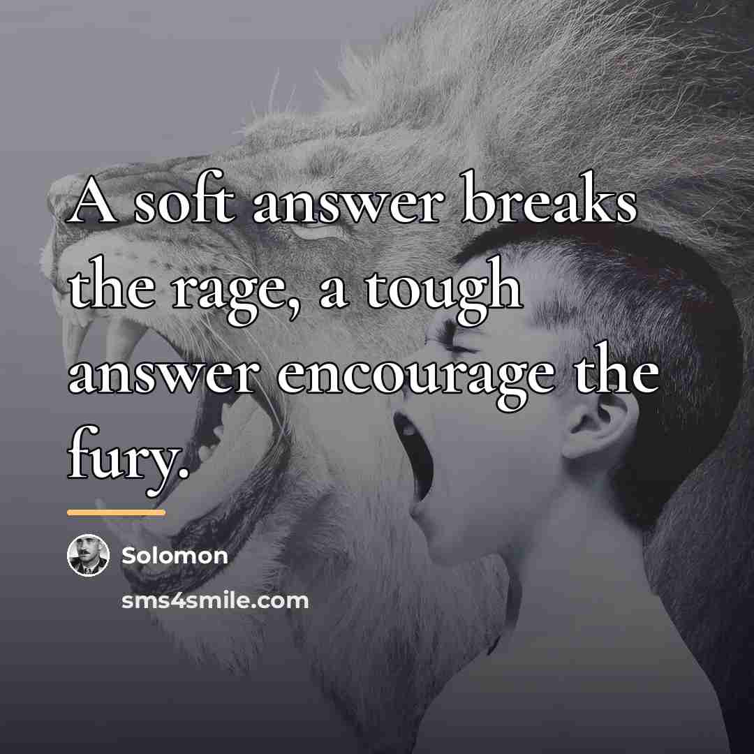 “A soft answer breaks the rage, a tough answer encourage…” quote by Solomon