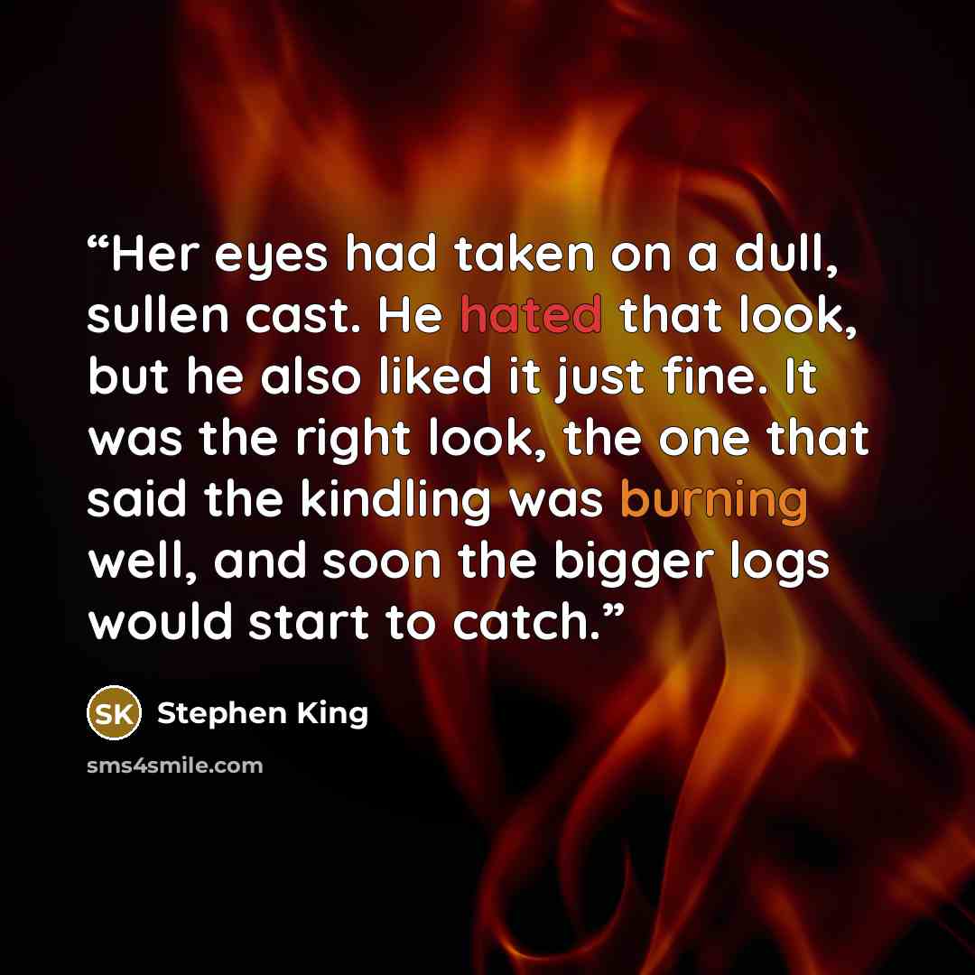 “Her eyes had taken on a dull, sullen cast. He hated that look, but he also liked it just fine. It was the right look, the one that said the kindling was burning well, and soon the bigger logs would start to catch.” quote by Stephen King
