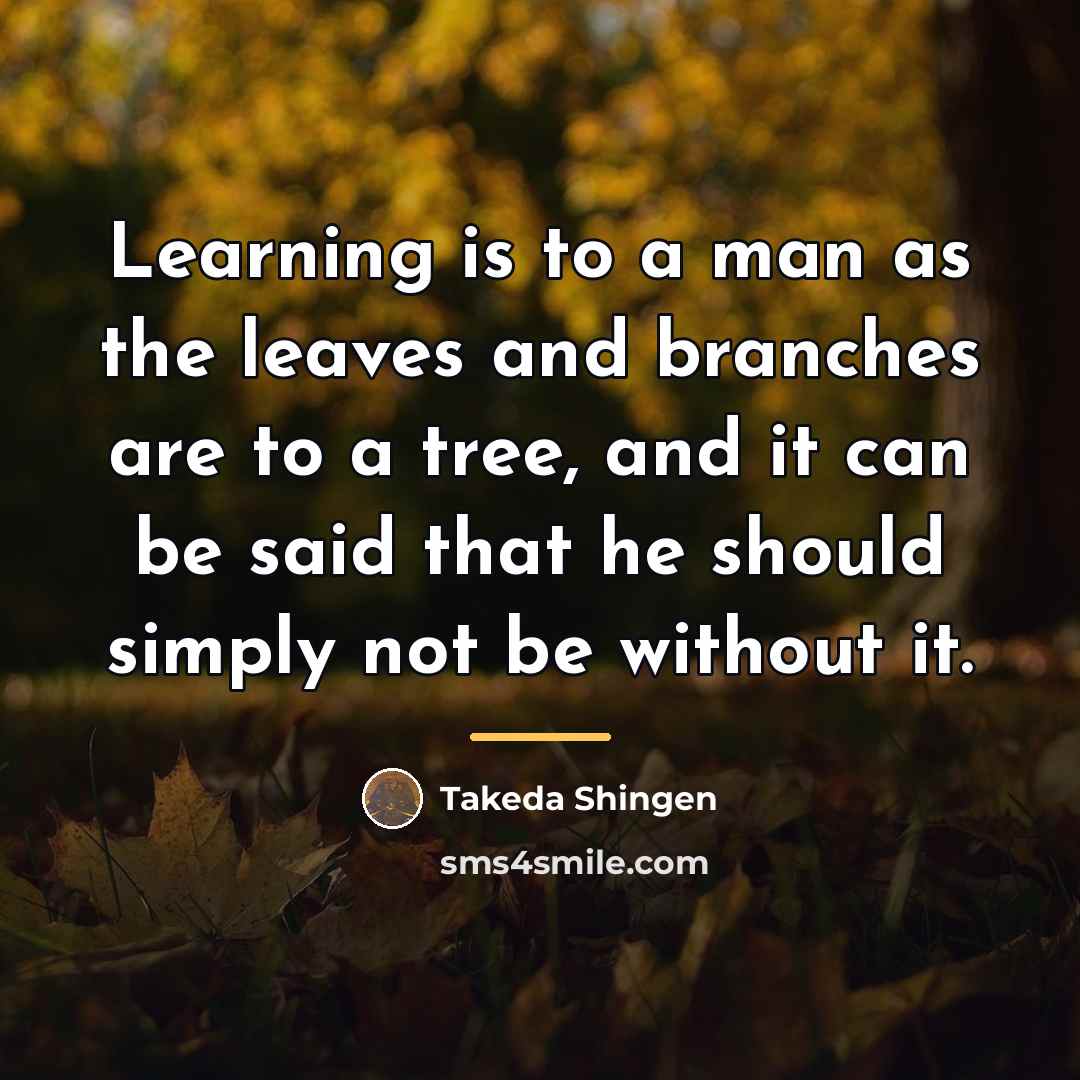 “Learning is to a man as the leaves and branches…” quote by Takeda Shingen