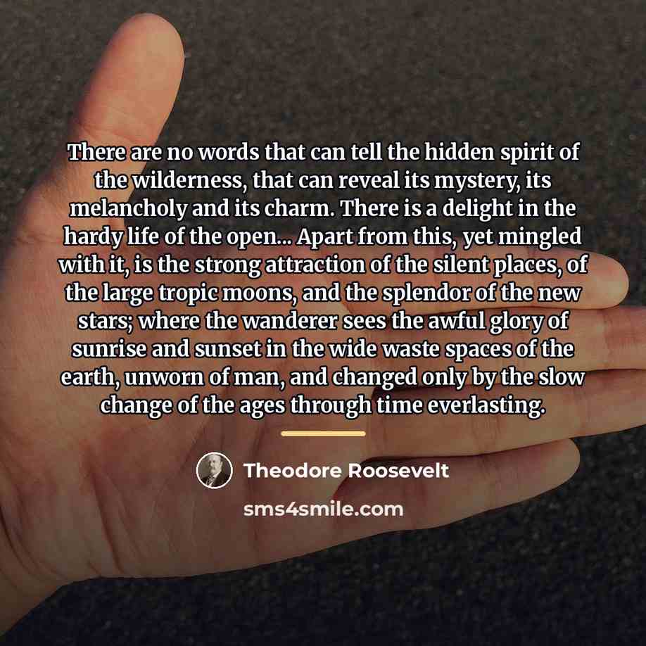 “There are no words that can tell the hidden spirit…” quote by Theodore Roosevelt