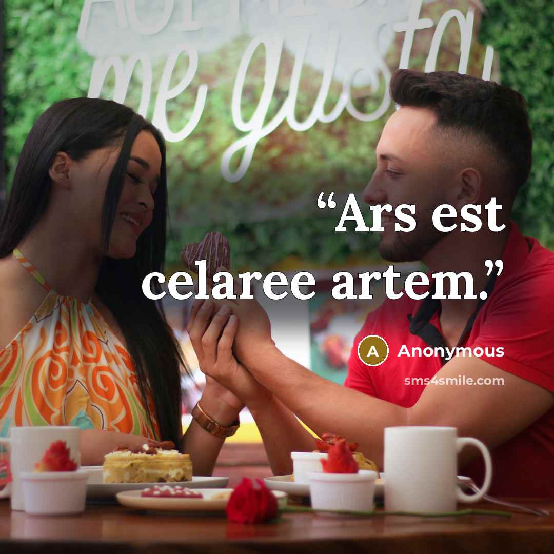 “Ars est celaree artem.” quote by Anonymous