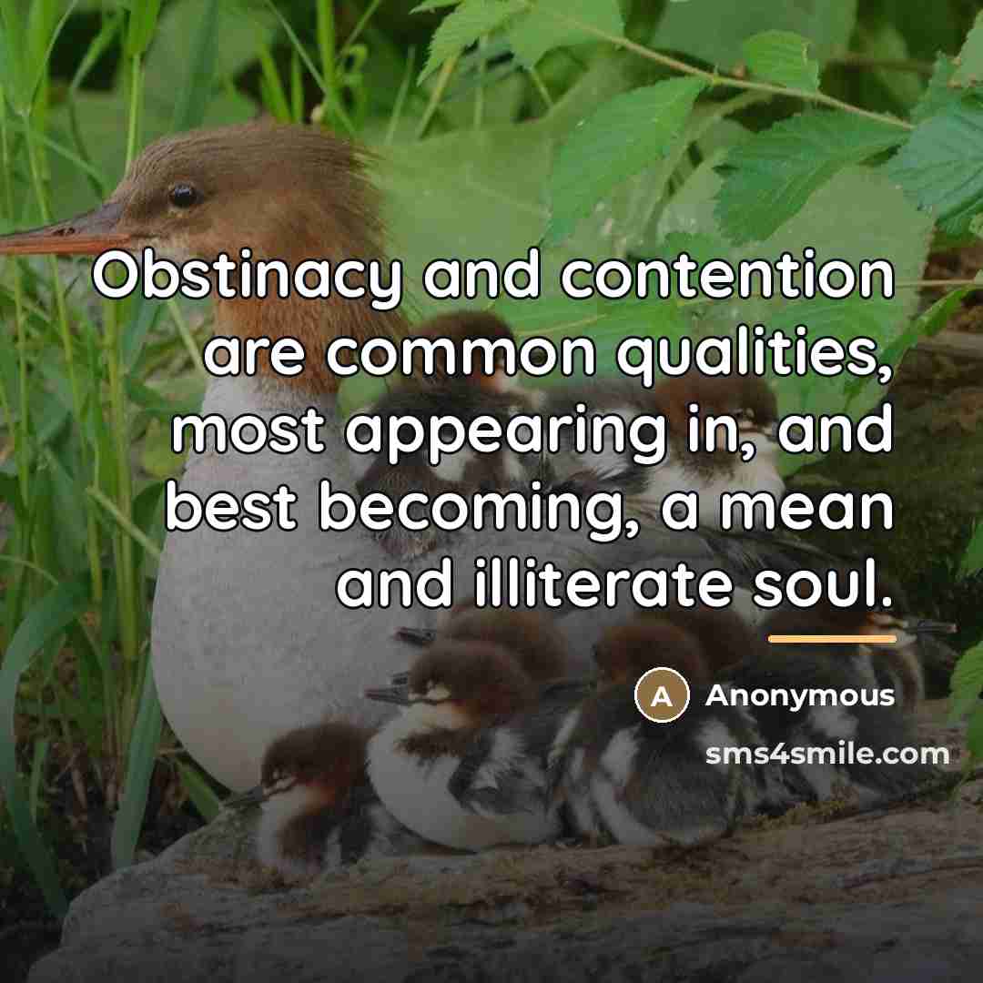 “Obstinacy and contention are common qualities, most appearing in, and…” quote by Anonymous