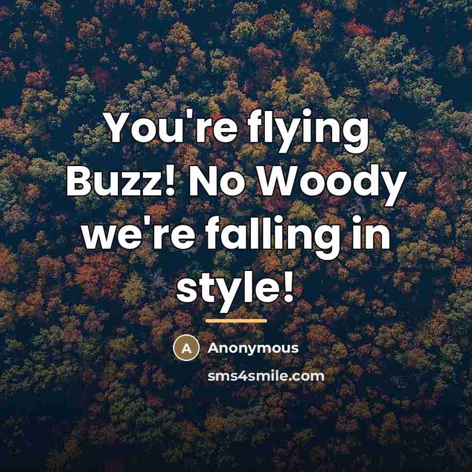 “You're flying Buzz! No Woody we're falling in style!…” quote by Anonymous