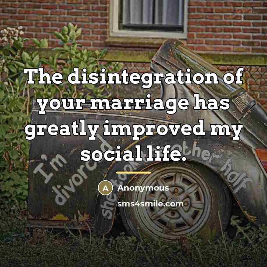 “The disintegration of your marriage has greatly improved my social…” quote by Anonymous