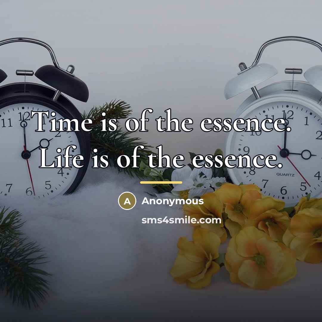“Time is of the essence. Life is of the essence.…” quote by Anonymous