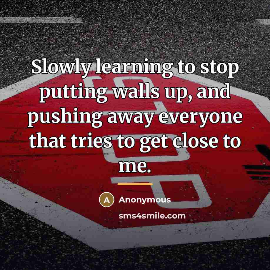 “Slowly learning to stop putting walls up, and pushing away…” quote by Anonymous