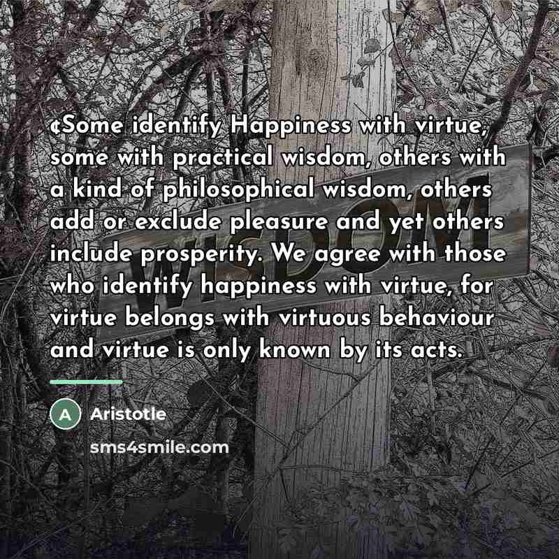“¢Some identify Happiness with virtue, some with practical wisdom, others…” quote by Aristotle