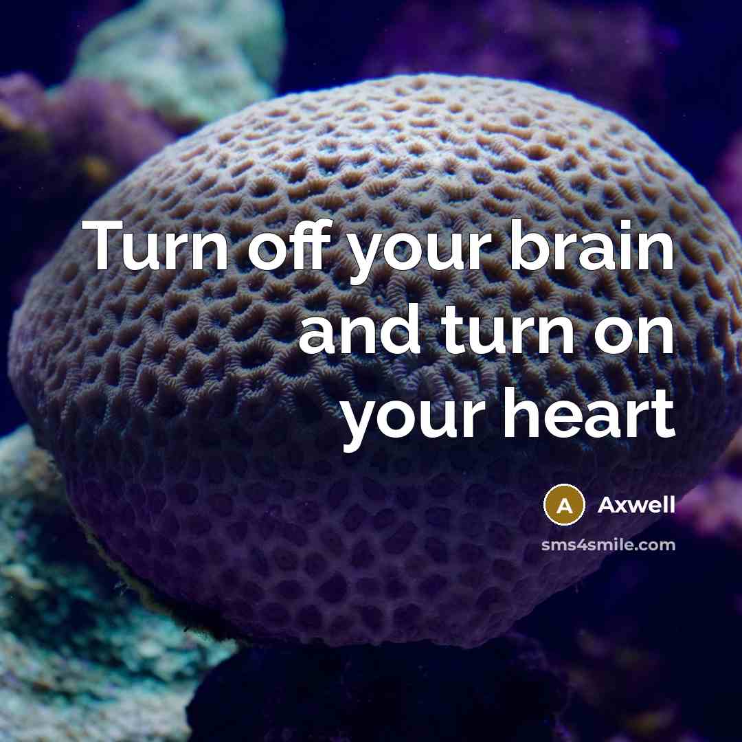 “Turn off your brain and turn on your heart…” quote by Axwell