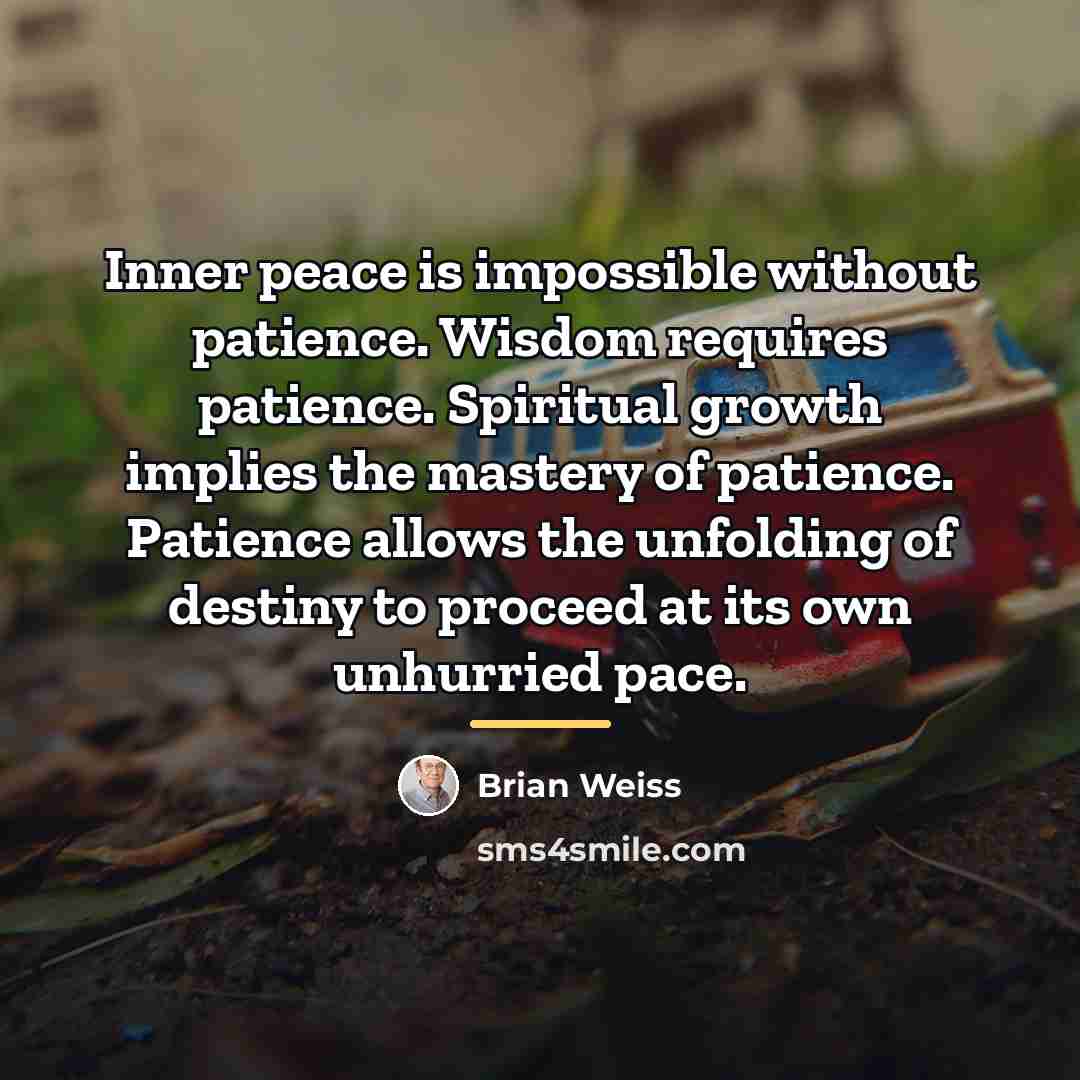 “Inner peace is impossible without patience. Wisdom requires patience. Spiritual…” quote by Brian Weiss