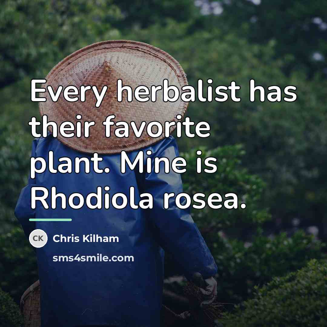 “Every herbalist has their favorite plant. Mine is Rhodiola rosea.…” quote by Chris Kilham