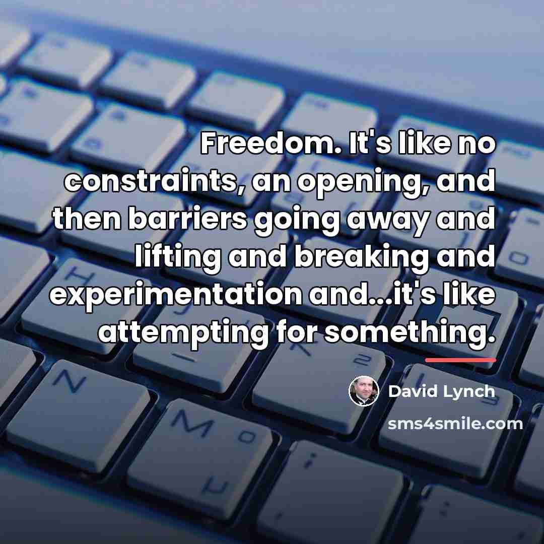 “Freedom. It's like no constraints, an opening, and then barriers…” quote by David Lynch