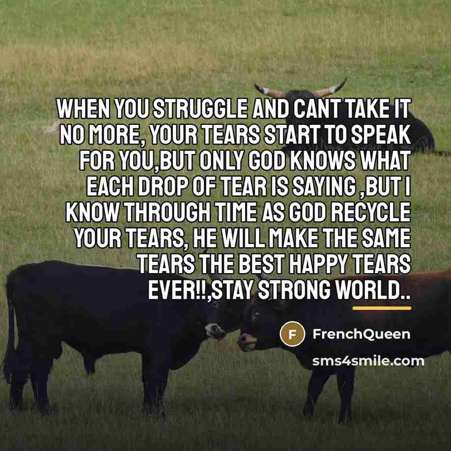 “When you struggle and cant take it no more, your…” quote by Frenchqueen