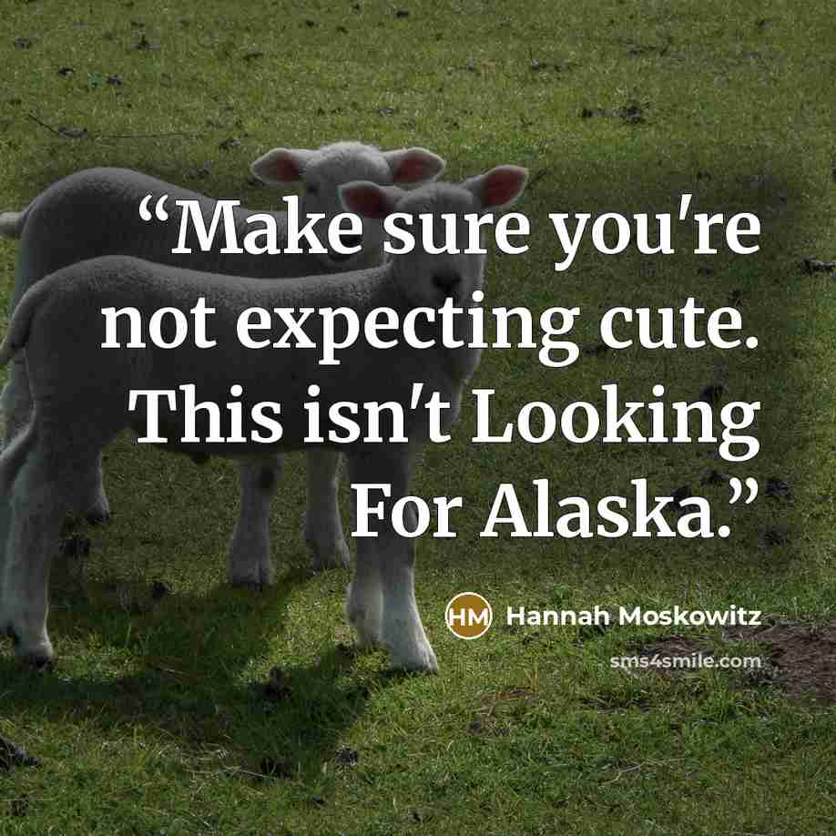 “Make sure you're not expecting cute. This isn't Looking For Alaska.” quote by Hannah Moskowitz