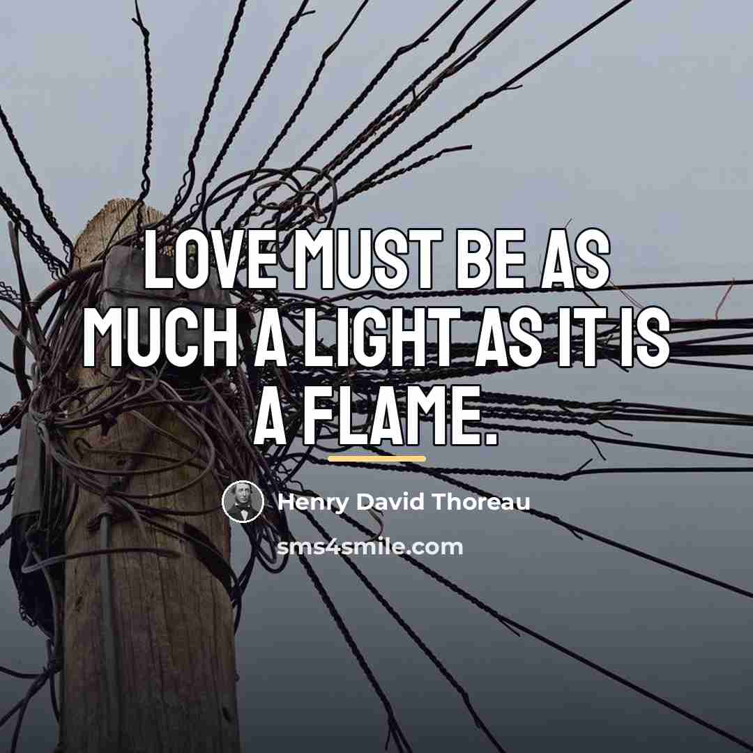“Love must be as much a light as it is…” quote by Henry David Thoreau