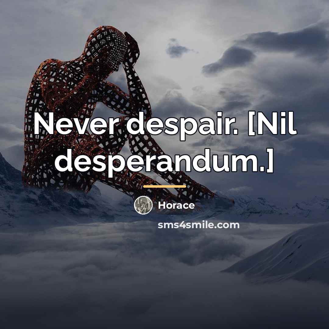 “Never despair. [Nil desperandum.]…” quote by Horace