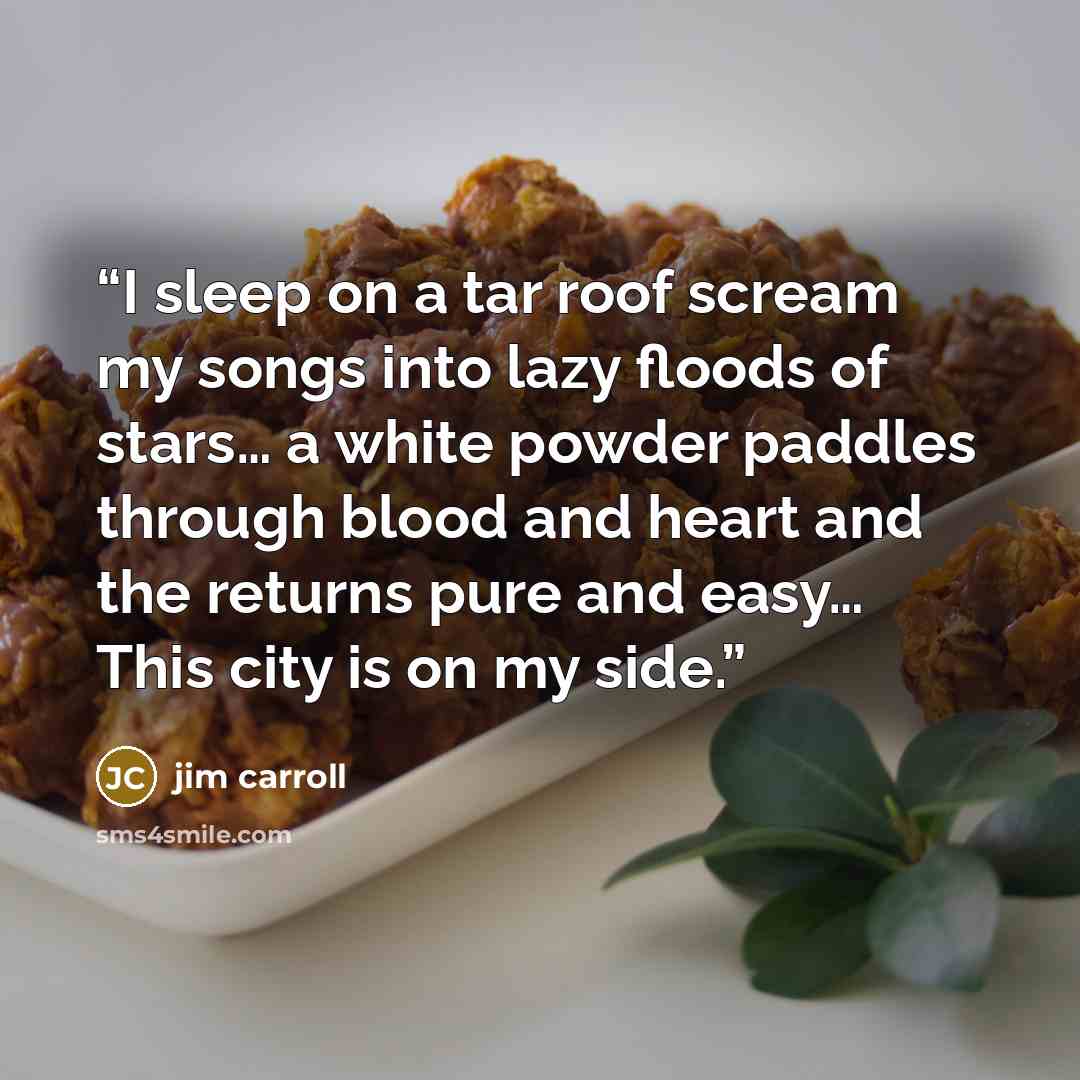 “I sleep on a tar roof scream my songs into lazy floods of stars… a white powder paddles through blood and heart and the returns pure and easy… This city is on my side.” quote by Jim Carroll