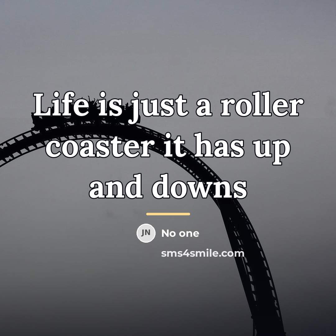 “Life is just a roller coaster it has up and…” quote by No One