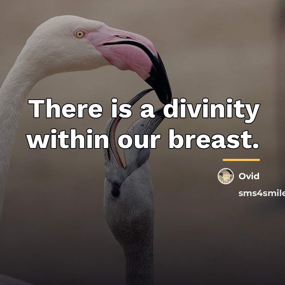 “There is a divinity within our breast.…” quote by Ovid