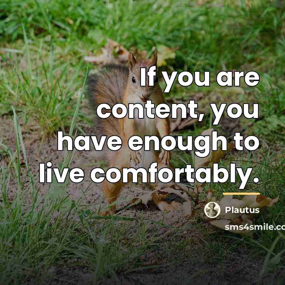 “If you are content, you have enough to live comfortably.…” quote by Plautus