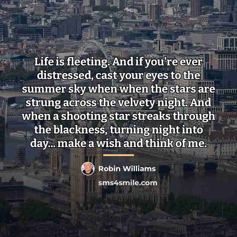 “Life is fleeting. And if you're ever distressed, cast your…” quote by Robin Williams