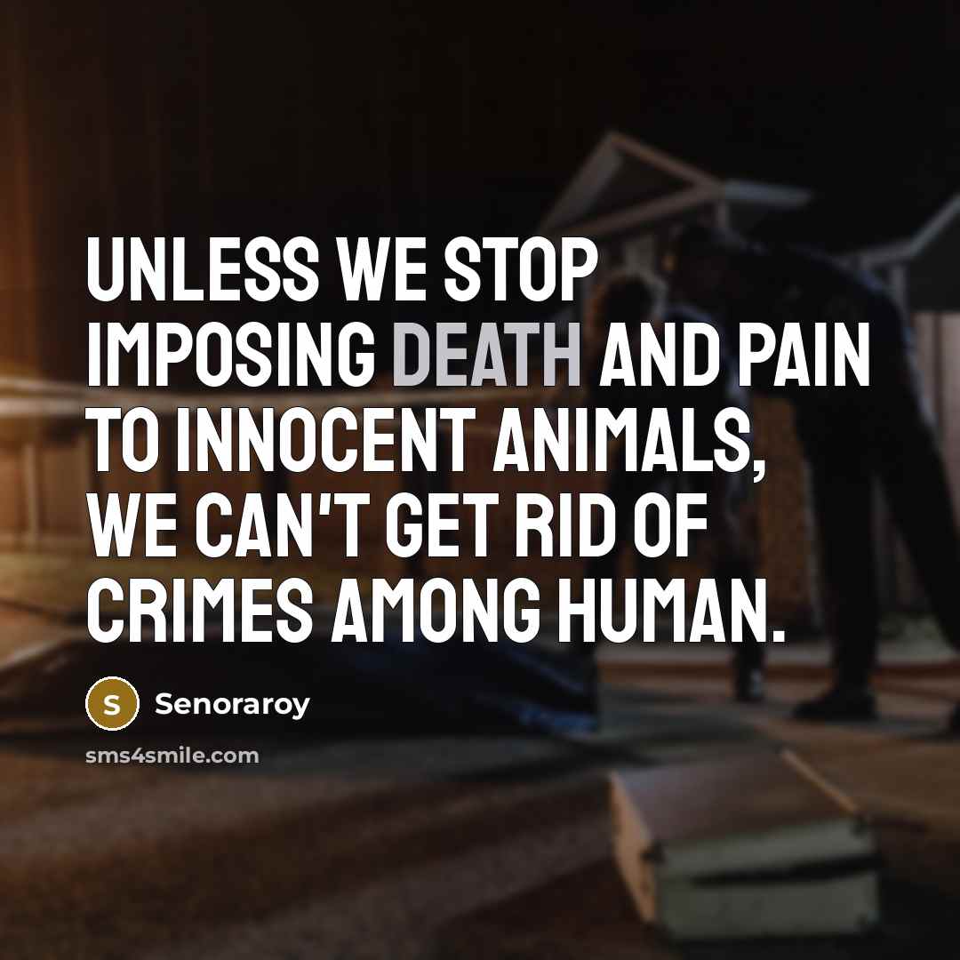 “Unless we stop imposing death and pain to innocent animals,…” quote by Senoraroy