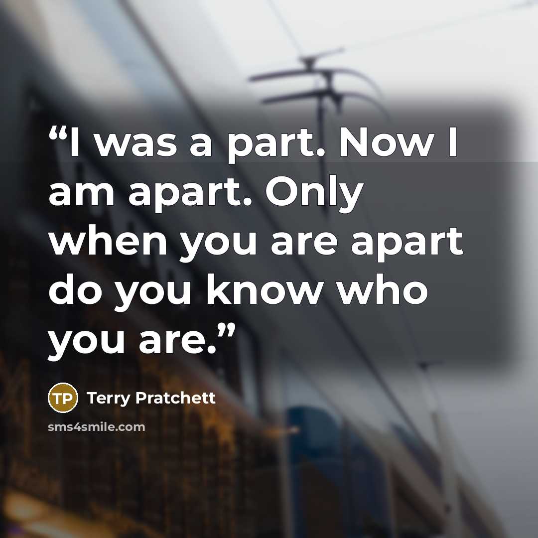 “I was a part. Now I am apart. Only when you are apart do you know who you are.” quote by Terry Pratchett