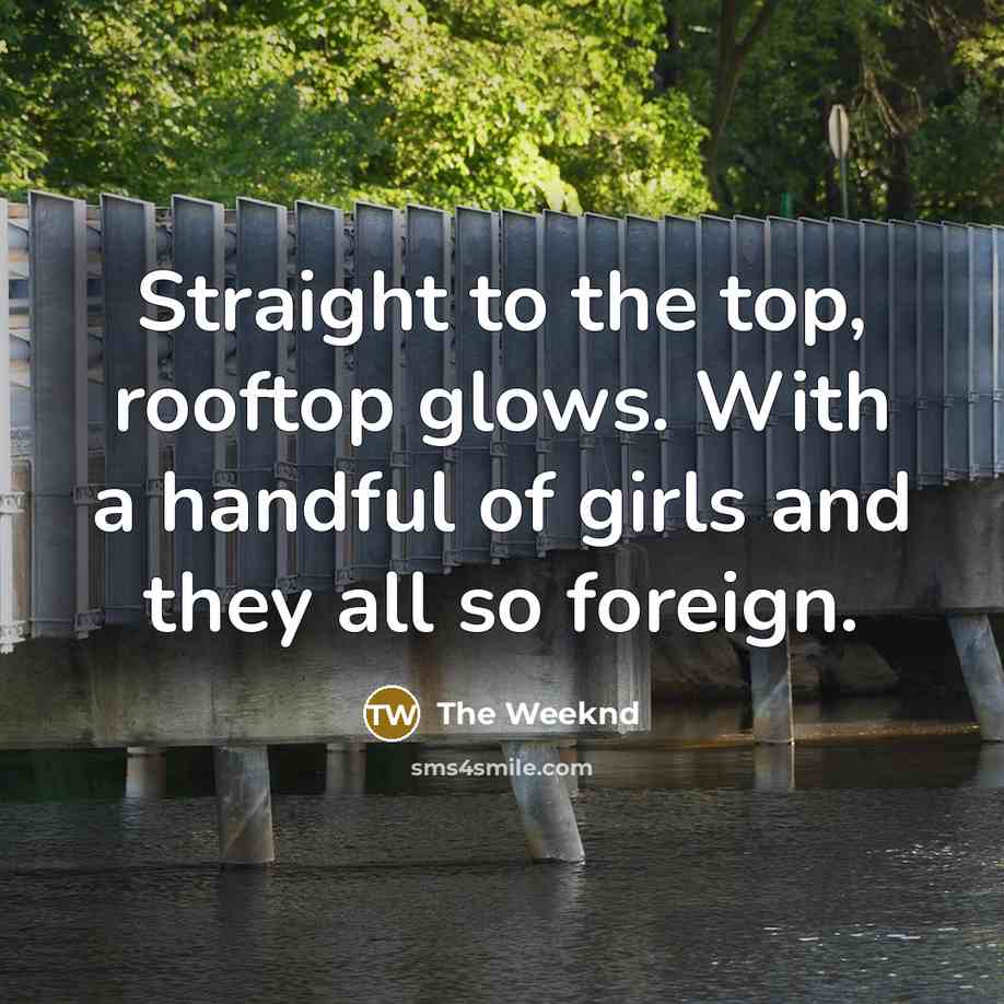 “Straight to the top, rooftop glows. With a handful of…” quote by The Weeknd