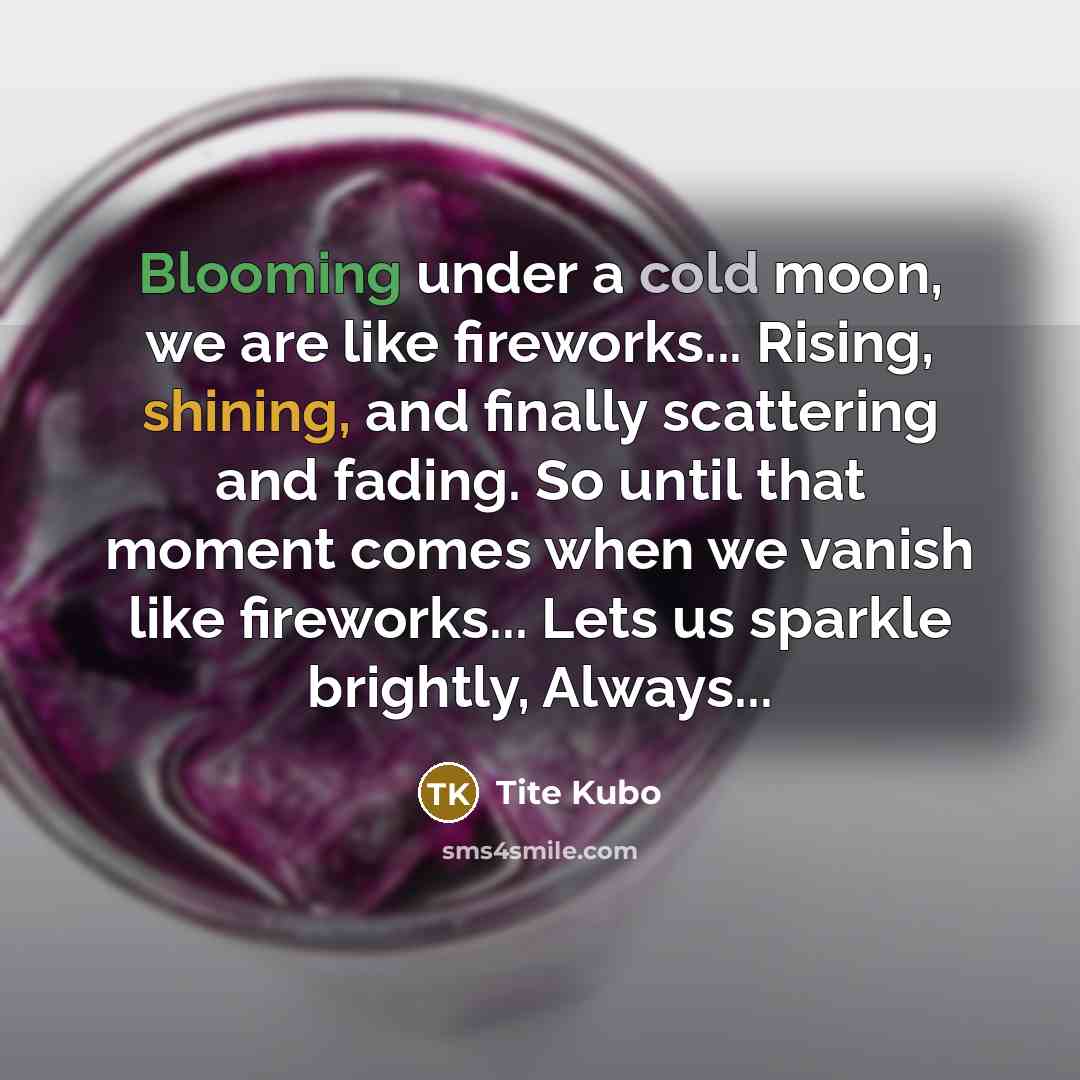 “Blooming under a cold moon, we are like fireworks... Rising,…” quote by Tite Kubo