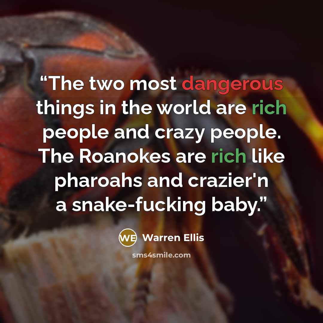 “The two most dangerous things in the world are rich people and crazy people. The Roanokes are rich like pharoahs and crazier'n a snake-fucking baby.” quote by Warren Ellis