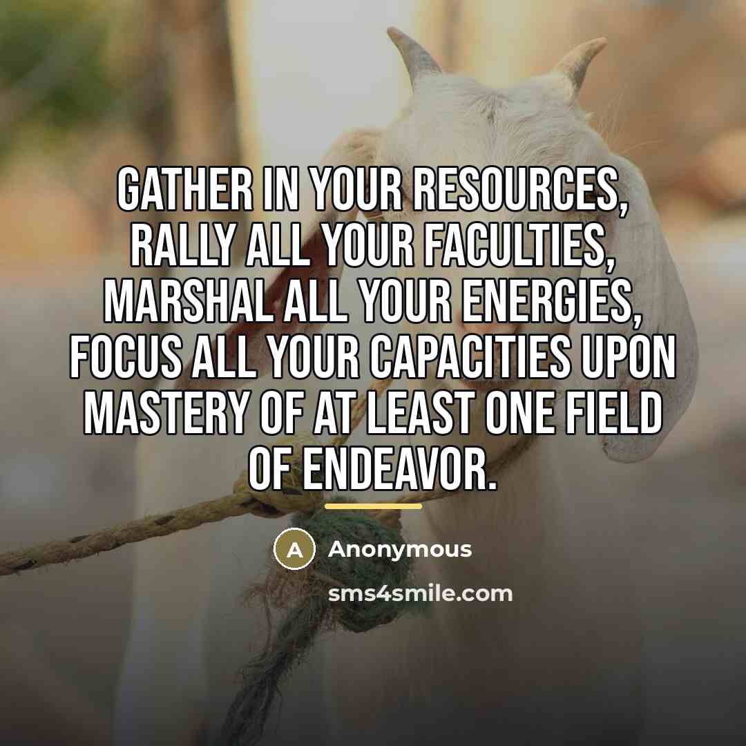 “Gather in your resources, rally all your faculties, marshal all…” quote by Anonymous