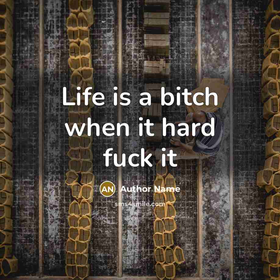 “Life is a bitch when it hard fuck it…” quote by Author Name